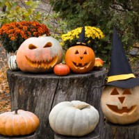 halloween pumpkins - home decoration stock pictures, royalty-free photos & images