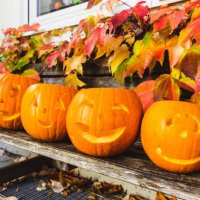 halloween pumpkins on wooden bench - home decoration stockfoto's en -beelden