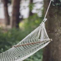 hammock hanging between trees in the garden. decoration service. garden party, summer festival, wedding. - garden decoration stock pictures, royalty-free photos & images