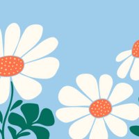 hand drawn daisy flowers and leaves background - garden decoration stock illustrations