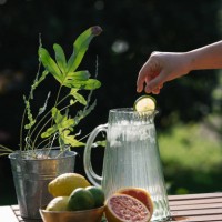 hand preparing a lemonade with grapefruit. stock photo - garden decoration stock pictures, royalty-free photos & images