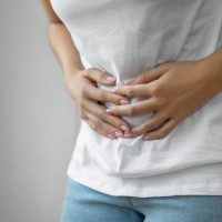 hands holding uterus, female reproductive system - food stock pictures, royalty-free photos & images