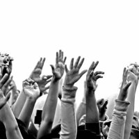 hands up - concert stock pictures, royalty-free photos & images