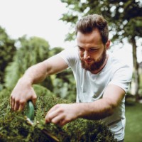 handsome adult male trimming bush in backyard - garden decoration stock pictures, royalty-free photos & images