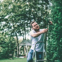 handsome male clipping tree branches in backyard - home decoration stock pictures, royalty-free photos & images