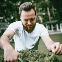 handsome male gardener trimming bush in backyard - garden decoration stock pictures, royalty-free photos & images