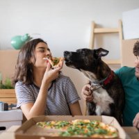 happy caucasian couple moving into their new apartment - junk food stock pictures, royalty-free photos & images