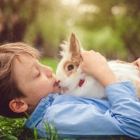 happy child playing with bunny on easter egg hunt - garden decoration stock pictures, royalty-free photos & images