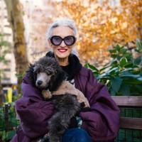 happy senior woman posing with her dog in madison square park, new york city - fashion stock pictures, royalty-free photos & images