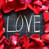 happy valentines day! text on blackboard on background of rose petals - garden decoration stock pictures, royalty-free photos & images