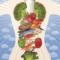healthy body composed by healthy food vector - food stock illustrations
