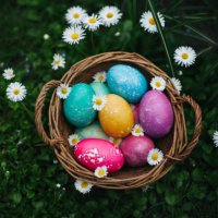 high angle of view on the colorful easter eggs and white daisies on the green grass between white daisies - garden decoration stock pictures, royalty-free photos & images