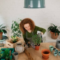 high angle view of a young caucasian woman taking care of her houseplants with care - garden decoration stock pictures, royalty-free photos & images