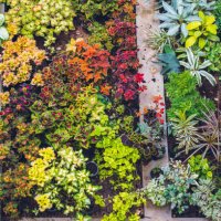 high angle view of garden trees - garden decoration stock pictures, royalty-free photos & images