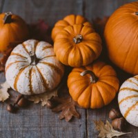 high angle view of orange and white pumpkins on rustic wooden table. - home decoration stock pictures, royalty-free photos & images