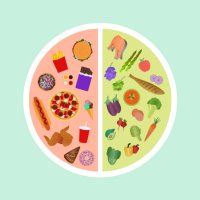 high angle view of plate with healthy and unhealthy food. healthy and unhealthy food comparison - junk food stock illustrations