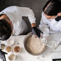 high angle view of scientists working on a laboratory - food stock pictures, royalty-free photos & images