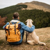 hiker with backpack and his dog resting on mountain - travel stock pictures, royalty-free photos & images