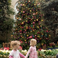 Holiday tree is on display as part of the annual winter exhibit at the U.S. Botanic Garden, Dec. 02, 2009.