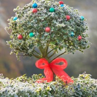 holly hedge - garden decoration stock pictures, royalty-free photos & images