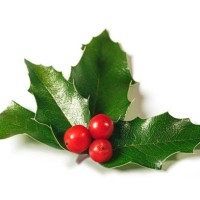 holly leaves decoration with red berries. - home decoration stockfoto's en -beelden