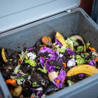 home composter - compost in process with earthworms - food stock pictures, royalty-free photos & images
