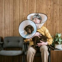 homme au vétérinaire porte cône de chien - fashion photos et images de collection