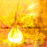 hot day - garden decoration stock pictures, royalty-free photos & images