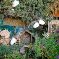 house of lizards - garden decoration stock pictures, royalty-free photos & images