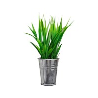 house plants in silver pots - garden decoration stock pictures, royalty-free photos & images