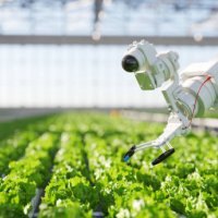 hydroponic robot farming - food stock pictures, royalty-free photos & images