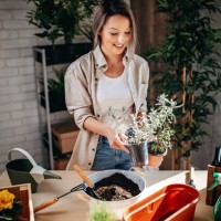 i love green - garden decoration stock pictures, royalty-free photos & images