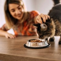 i love watching you eating - food stock pictures, royalty-free photos & images