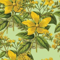 ictorian botanical, hand-colored, seamless repeating pattern. realistic blooming isolated flowers vintage fabric background. beautiful cottage garden and wildflowers. wallpaper baroque. drawing engraving. victorian illustrati
