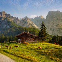 idyllic landscape in the alps with mountain chalet and cows in springtime - food stock pictures, royalty-free photos & images