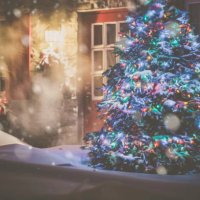 illuminated christmas tree at night during snowstorm - garden decoration stock pictures, royalty-free photos & images