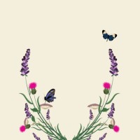 illustration of a lavender frame with wild flowers, pink thorns, butterflies, in violet tones - garden decoration stock pictures, royalty-free photos & images