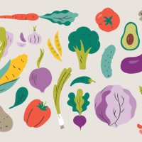 illustration of fresh vegetables — hand-drawn vector elements - food stock illustrations