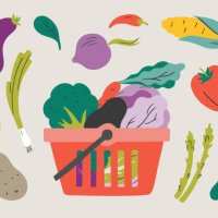 illustration of fresh vegetables in shopping basket — hand-drawn vector elements - food stock illustrations