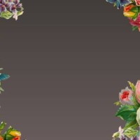 illustration with dark gradient background with balloons and champagne glasses for celebration - garden decoration stock pictures, royalty-free photos & images