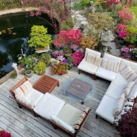 image of outdoor lounging area on sunny summer garden decking, grooved, whitewashed wooden deck, hardwood seating with cushions, glass table top, koi carp fish pond, bonsai trees, japanese maples, landscaped oriental design g