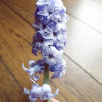 in my hand - garden decoration stock pictures, royalty-free photos & images