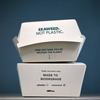 In this arranged photograph takeaway food packaging with "Notpla Coating" is pictured at Notpla in Hackney, east London, on November 24, 2022. - A...