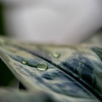 inspiration - garden decoration stock pictures, royalty-free photos & images