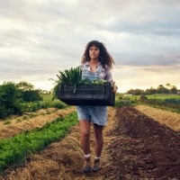 it's been quite a fruitful season - food stock pictures, royalty-free photos & images