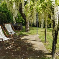 italian garden with white wisteria and two deck-chairs - garden decoration photos et images de collection