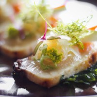 japanese fine dining hamachi dish - food stock pictures, royalty-free photos & images