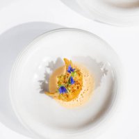 japanese gyoza dumpling michelin star gourmet dish with prawn and lobster seafood foam - food stock pictures, royalty-free photos & images