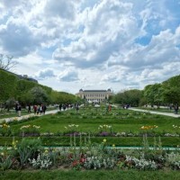 jardin des plantes - garden decoration stock pictures, royalty-free photos & images