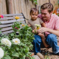 jardinage familial indien moderne à la maison - garden decoration photos et images de collection